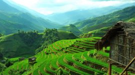 Vue sur les rizières en terrasses et constructions traditionnelles au Vietnam, Asie
