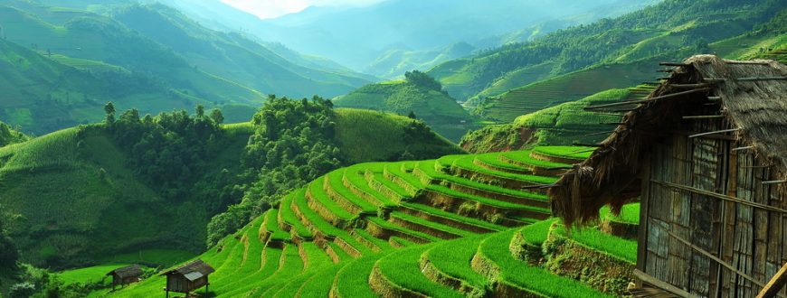 Vue sur les rizières en terrasses et constructions traditionnelles au Vietnam, Asie