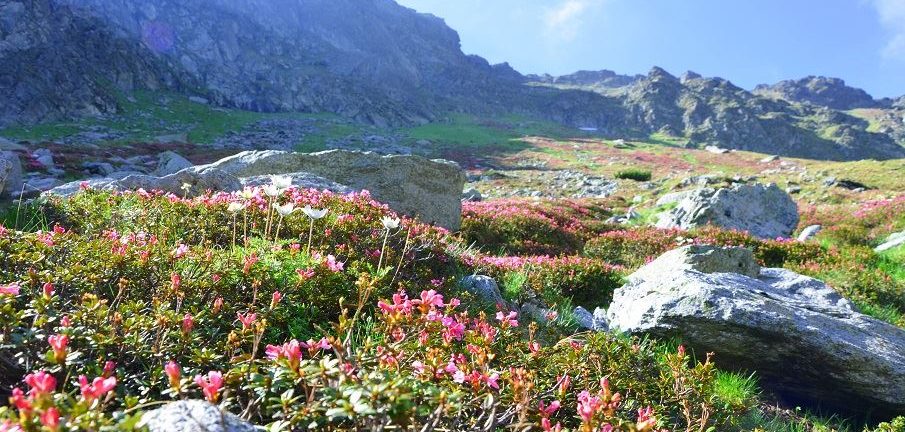 Paysage en Slovénie