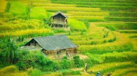 Le village Lim Mong au Vietnam / Rizières en terrasses à Mu Cang Chai / Asie