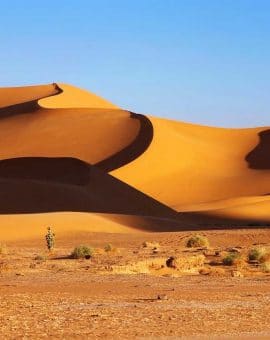 Le désert du Sahara en Algérie