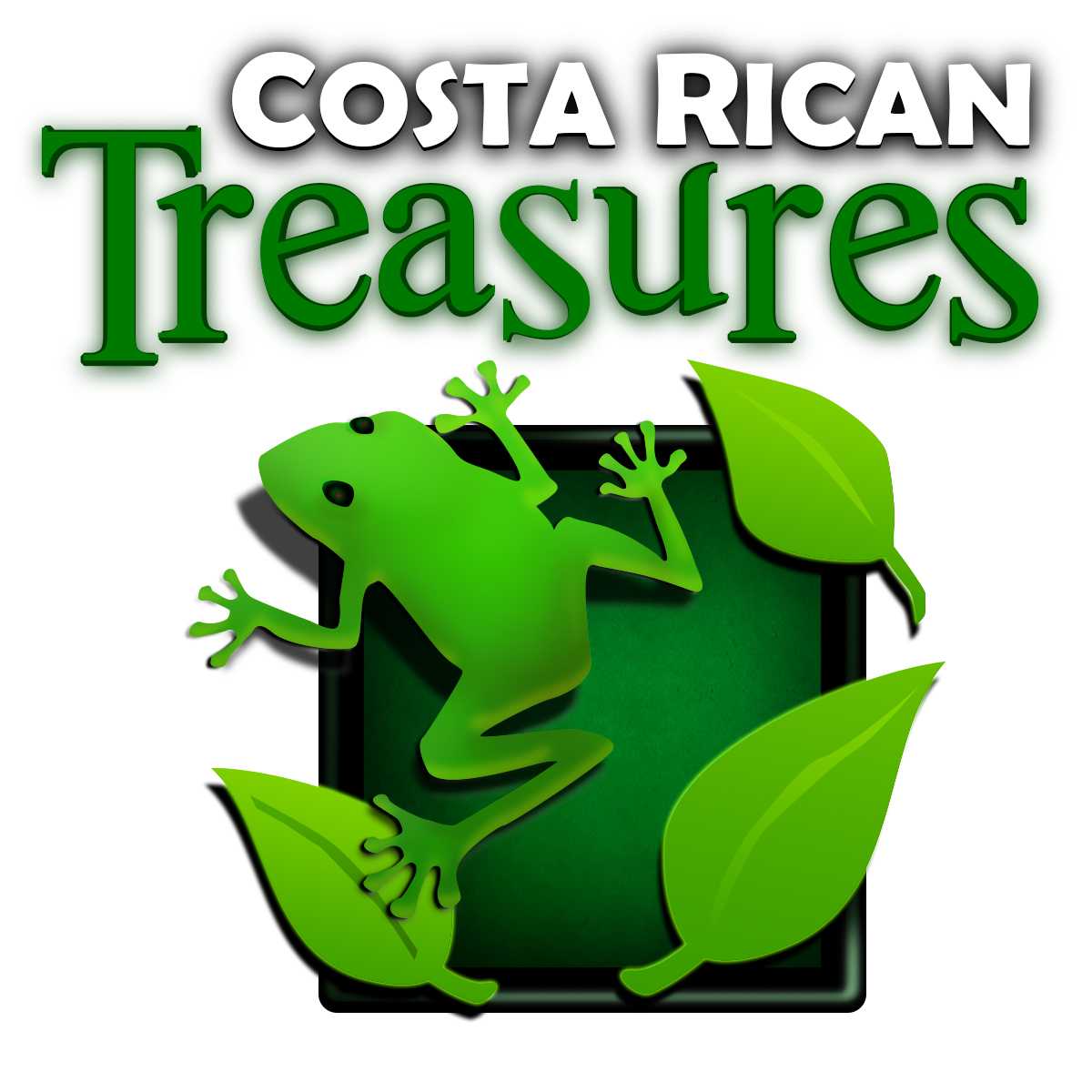 Costa Rican Treasures travel agency Trip Project