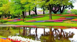 Keukenhof, le parc floral aux Pays-Bas