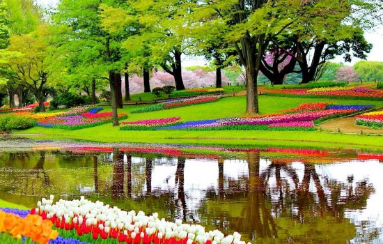 Keukenhof, le parc floral aux Pays-Bas