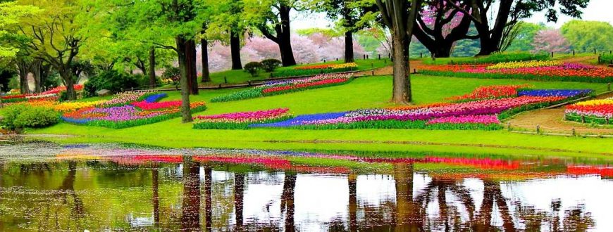 Keukenhof, le parc floral aux Pays-Bas